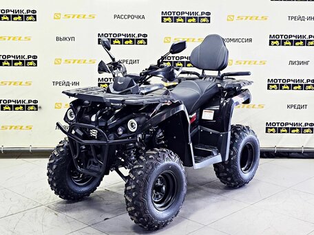 2025 Iride 200 Rover L, чёрный, 179000 рублей, вид 1