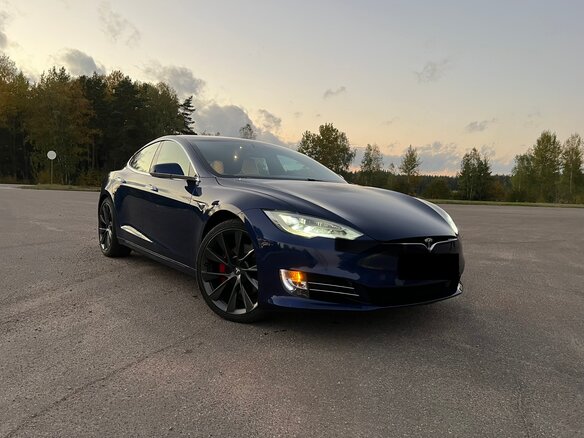2019 Tesla Model S 75D I Рестайлинг, синий, 2500000 рублей - вид 1