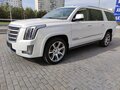 2016 Cadillac Escalade ESV IV, белый