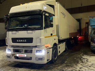2015 КамАЗ 5490 NEO, белый, 1400000 рублей, вид 1