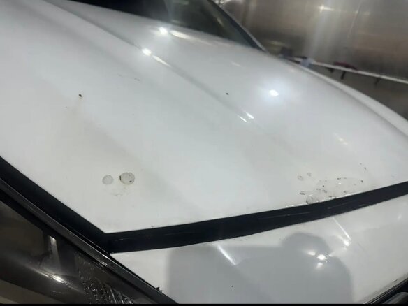 2019 Hyundai Sonata VII (LF) Рестайлинг, белый, 906400 рублей - вид 16