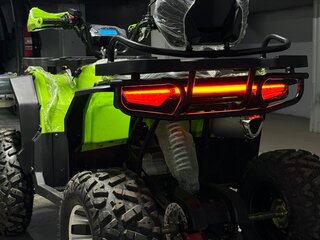 2025 Motoland Wild Track 200 X Pro, зелёный, 215000 рублей, вид 2
