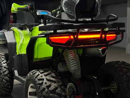 2025 Motoland Wild Track 200 X Pro, зелёный, 215000 рублей, вид 2