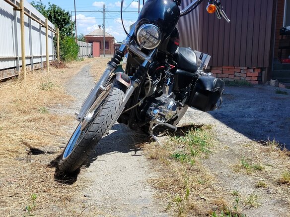 2004 Harley-Davidson Sportster 1200, золотистый