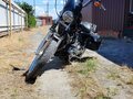2004 Harley-Davidson Sportster 1200, золотистый