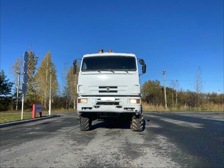 2009 КамАЗ 65225, белый, 2500000 рублей, вид 1