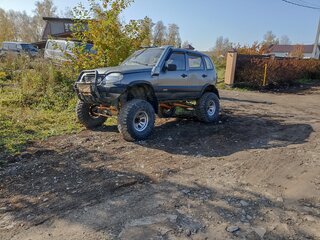 2004 Chevrolet Niva I, серый, 680000 рублей, вид 3