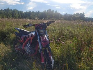 2024 BSE Z11, пурпурный, 230000 рублей, вид 5