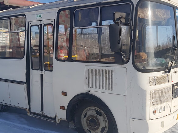 2014 ПАЗ 3205, белый - вид 5