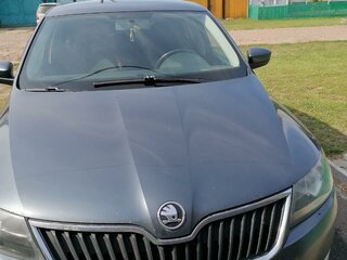 2014 Skoda Rapid I, серый, 939000 рублей, вид 3