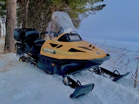 2003 BRP Ski-Doo Skandic 600, жёлтый, 570000 рублей, вид 3