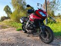 2014 Triumph Tiger 1050, красный, 750000 рублей - вид 8