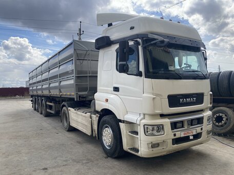 2016 КамАЗ 5490 NEO, белый, 5000000 рублей, вид 4