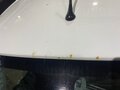 2013 Lada (ВАЗ) Kalina II, белый, 465000 рублей - вид 10