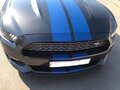 2015 Ford Mustang VI, серый - вид 2
