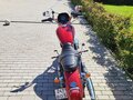 2019 Harley-Davidson Sportster 883, красный, 830000 рублей - вид 4