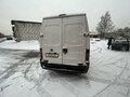 2008 Fiat Professional Ducato, белый, 850000 рублей - вид 3