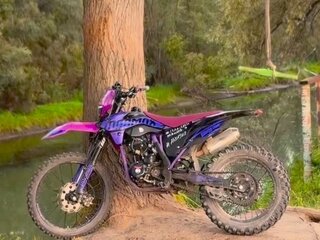 Promax PHANTOM