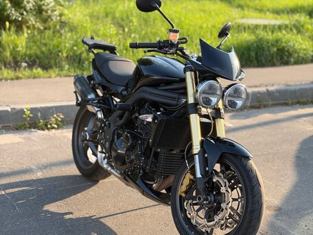 2005 Triumph Speed Triple, чёрный, 440000 рублей, вид 2