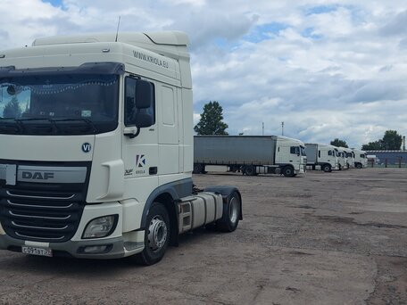2015 DAF XF, белый, 3300000 рублей, вид 2