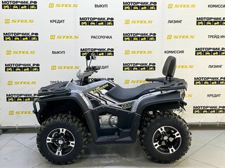 2025 Bashan Explorer 300, серый, 419000 рублей, вид 2