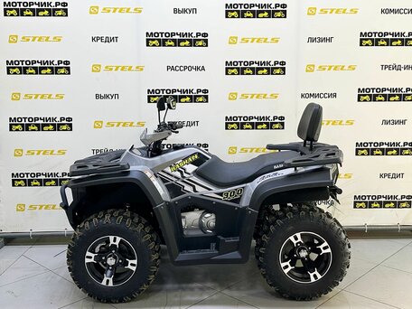 2025 Bashan Explorer 300, серый, 419000 рублей, вид 2