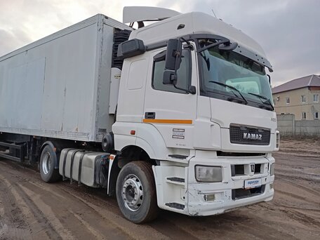 2017 КамАЗ 5490 NEO, белый, 1830000 рублей, вид 2