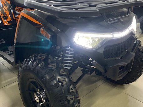2025 Tao Motor Titan 250, красный, 230000 рублей, вид 2