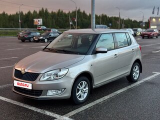 2010 Skoda Fabia II Рестайлинг, серый, 390000 рублей, вид 1