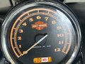 2009 Harley-Davidson Softail Custom, чёрный, 1600000 рублей - вид 10