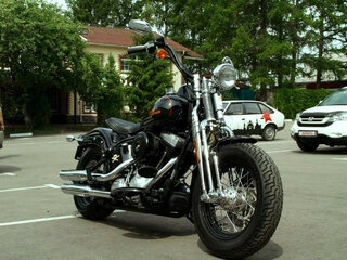 2008 Harley-Davidson Cross Bones, чёрный, 1750000 рублей, вид 2