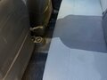 2016 Renault Duster I Рестайлинг, чёрный, 599000 рублей - вид 5