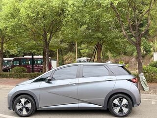 2023 BYD Dolphin 44.9 kWh I, серый, 1301000 рублей, вид 4