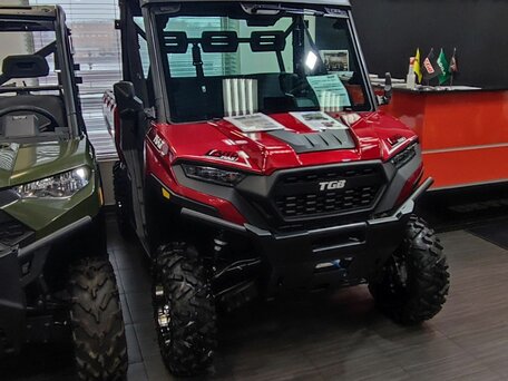 2024 TGB Landmax 1000, красный, 2159000 рублей, вид 3