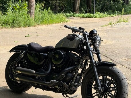 2020 Harley-Davidson Sportster 1200, серый, 1900000 рублей, вид 1