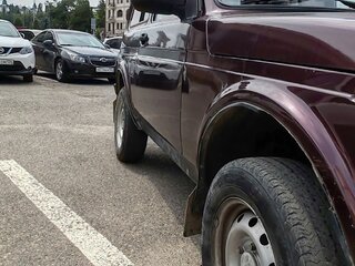 2010 Lada (ВАЗ) 2121 (4x4) I Рестайлинг, пурпурный, 360000 рублей, вид 3