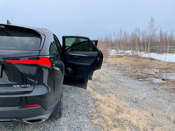 2019 Lexus NX 300 I Рестайлинг, чёрный, 5900000 рублей - вид 7