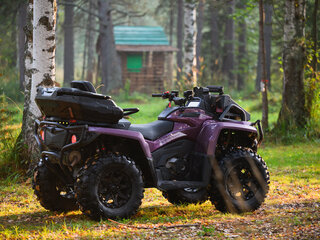 2025 AODES (Odes) Pathcross 1000 Mud Pro, фиолетовый, 1607000 рублей, вид 2