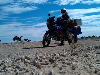 2011 KTM 990 Adventure, синий, 500000 рублей, вид 1