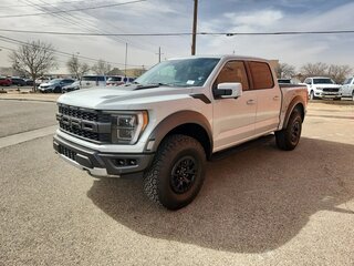 2024 Ford F-150 Raptor XIV, белый, 12410961 рублей, вид 1