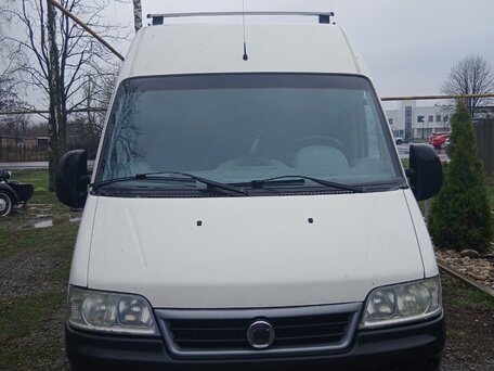 2010 Fiat Professional Ducato, белый, 990000 рублей, вид 1