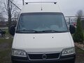 2010 Fiat Professional Ducato, белый, 990000 рублей