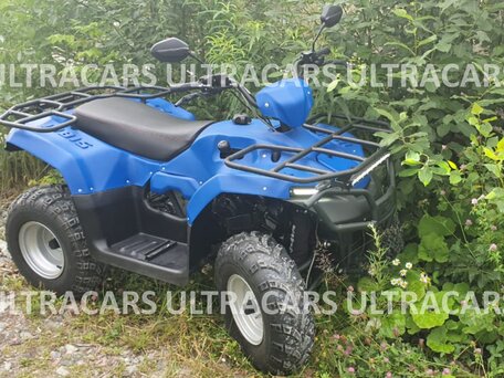 2026 Irbis ATV 200U, синий, 235196 рублей, вид 4