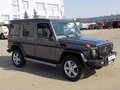 2011 Mercedes-Benz G-Класс 300 Professional I (W461) Professional, серый - вид 2