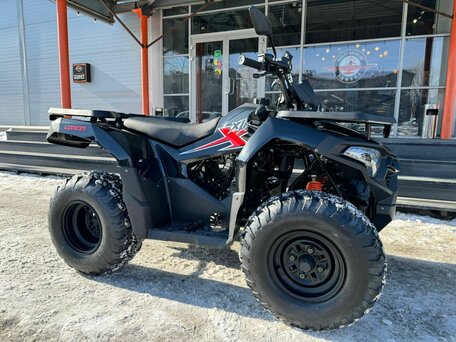 2024 Loncin XWolf 200, чёрный, 250000 рублей, вид 4