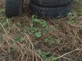 1997 Lada (ВАЗ) 2104 4-speed, пурпурный - вид 4