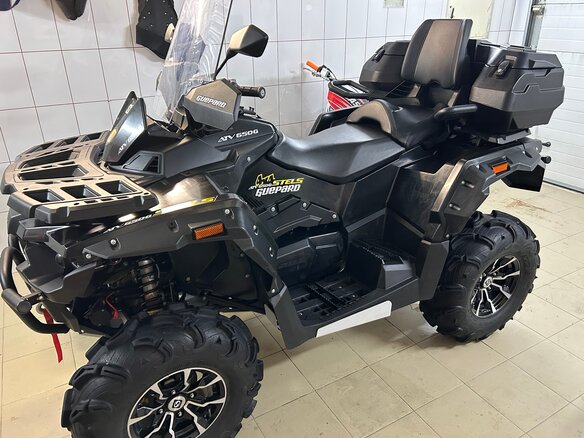 2021 Stels ATV-650 Guepard Trophy, чёрный, 830000 рублей - вид 1