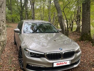 2018 BMW 5 серии 520d VII (G30/G31/G38), серый, 2950000 рублей, вид 1
