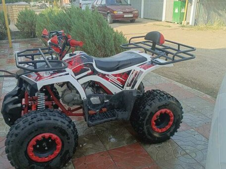 2023 Racer ATV 50, белый, 100000 рублей, вид 4