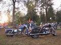 1999 Harley-Davidson Road King, красный - вид 7